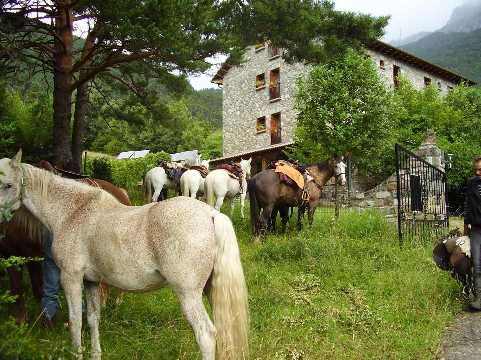 Hotel De Montana Uson Ечо Екстериор снимка